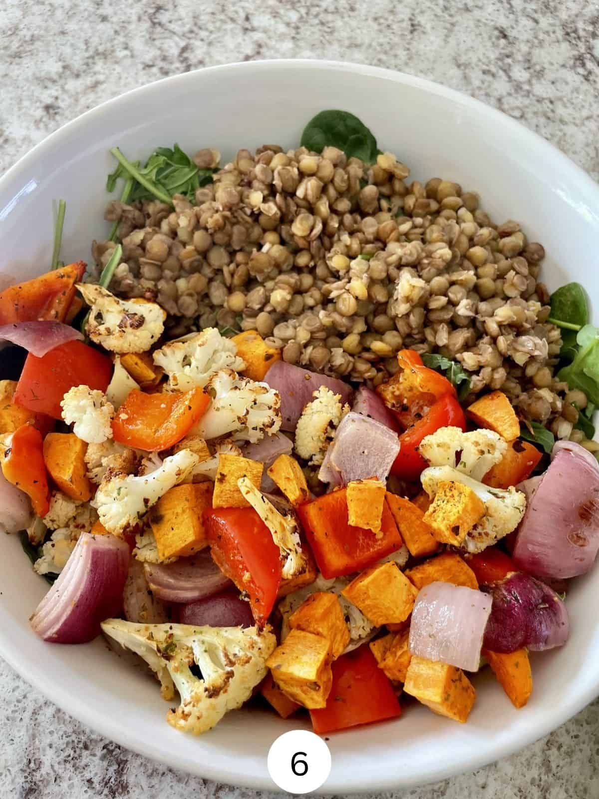 Cooked brown lentils and roasted cubed sweet potato, cauliflower florets, red onion and red bell peppers in a white ceramic salad bowl.
