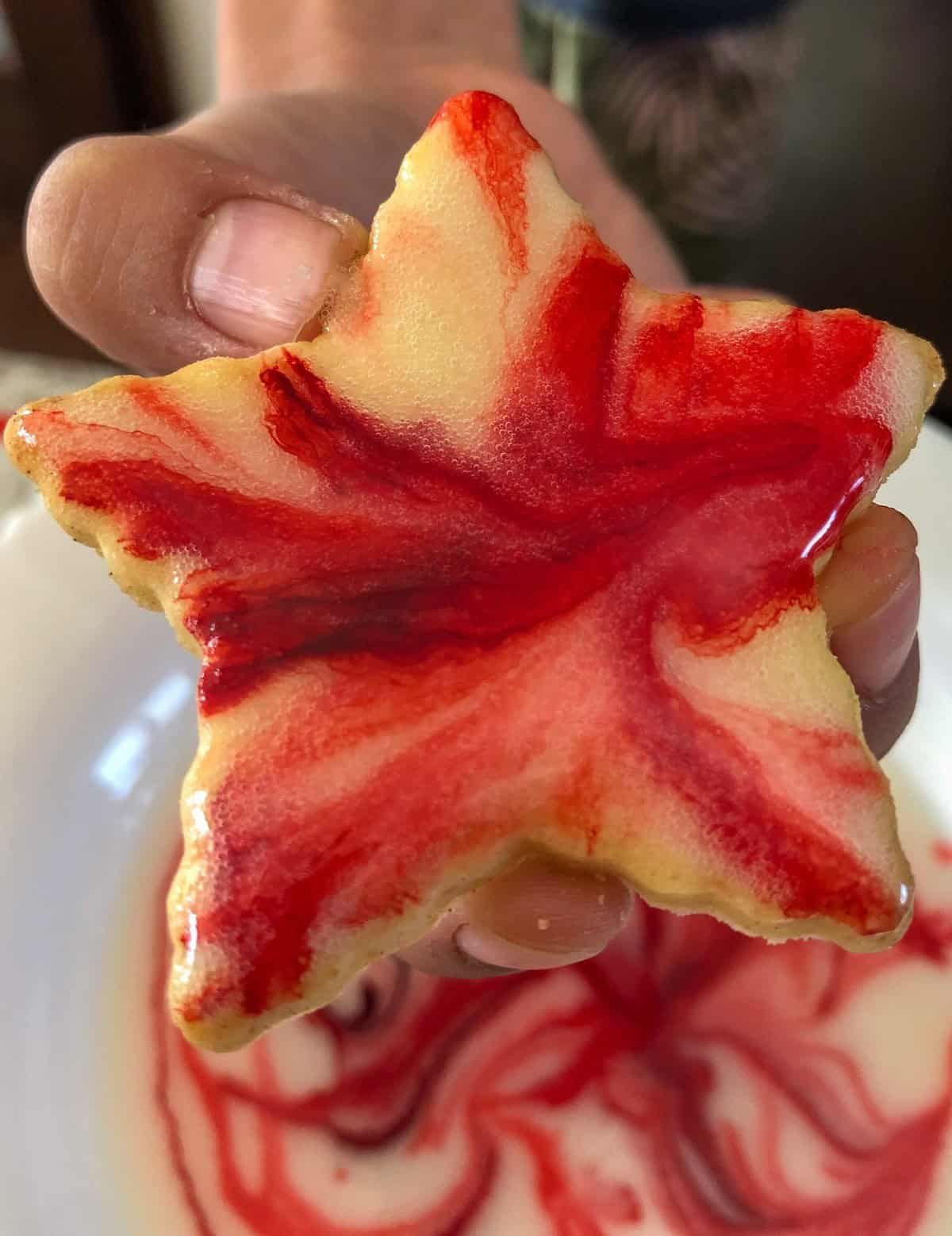 A star-shaped cutout lemon sugar cookie with red and white glaze in a hand.