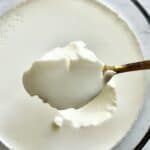 A golden spoon over a bowl with Indian-style yogurt, or homemade dahi.