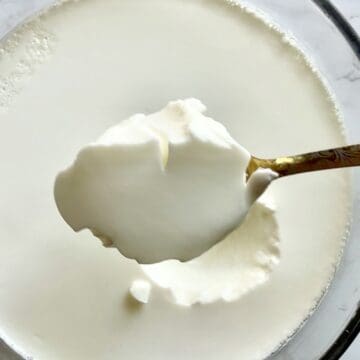 A golden spoon over a bowl with Indian-style yogurt, or homemade dahi.