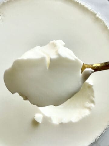 Homemade-Dahi-Recipe-Indian-style-yogurt