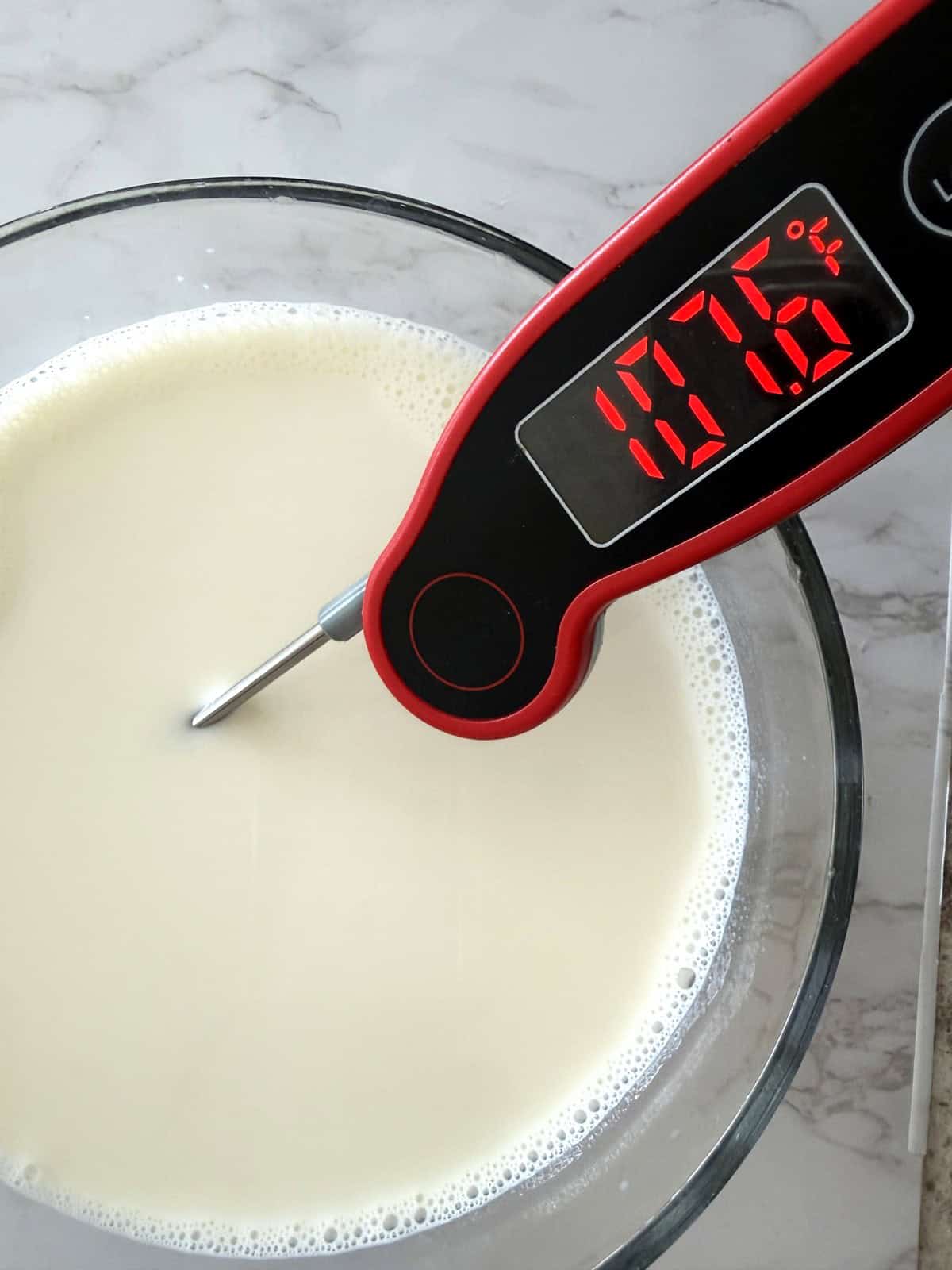 A digital thermometer dipped in a bowl of milk to set homemade dahi or Indian yogurt.