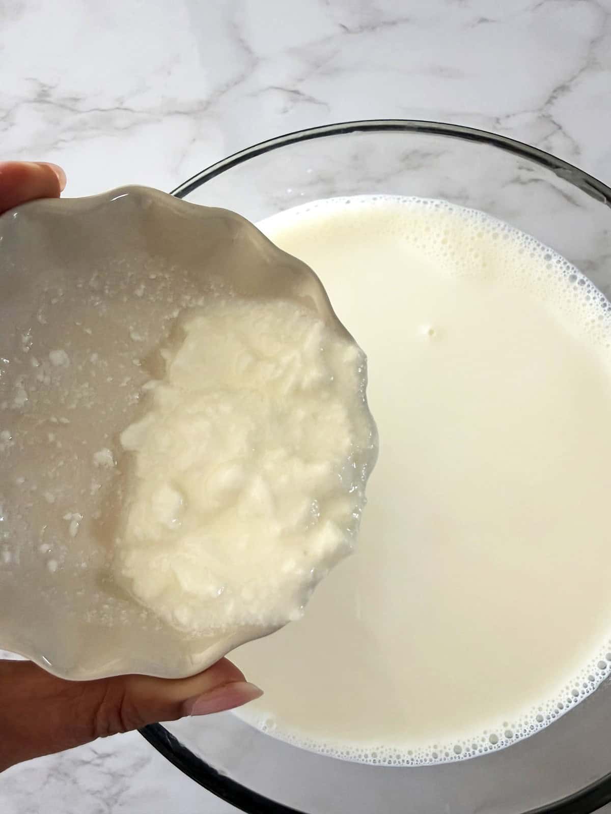 Adding yogurt culture to a bowl of milk to make homemade yogurt or dahi.