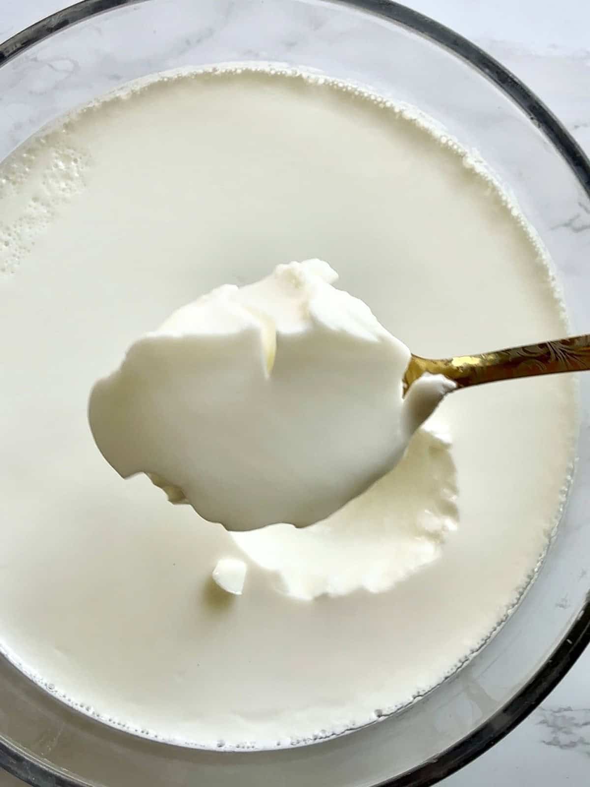A golden spoon over a bowl with Indian-style yogurt, or homemade dahi.