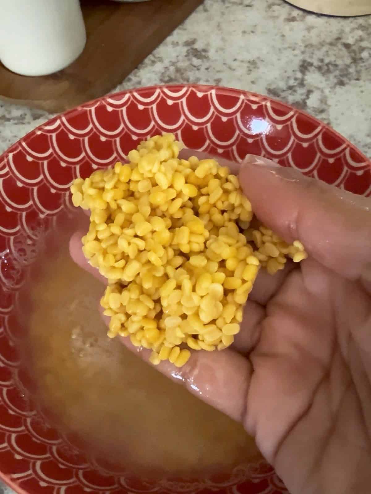 Soaked moong dal (lentils) in a hand.