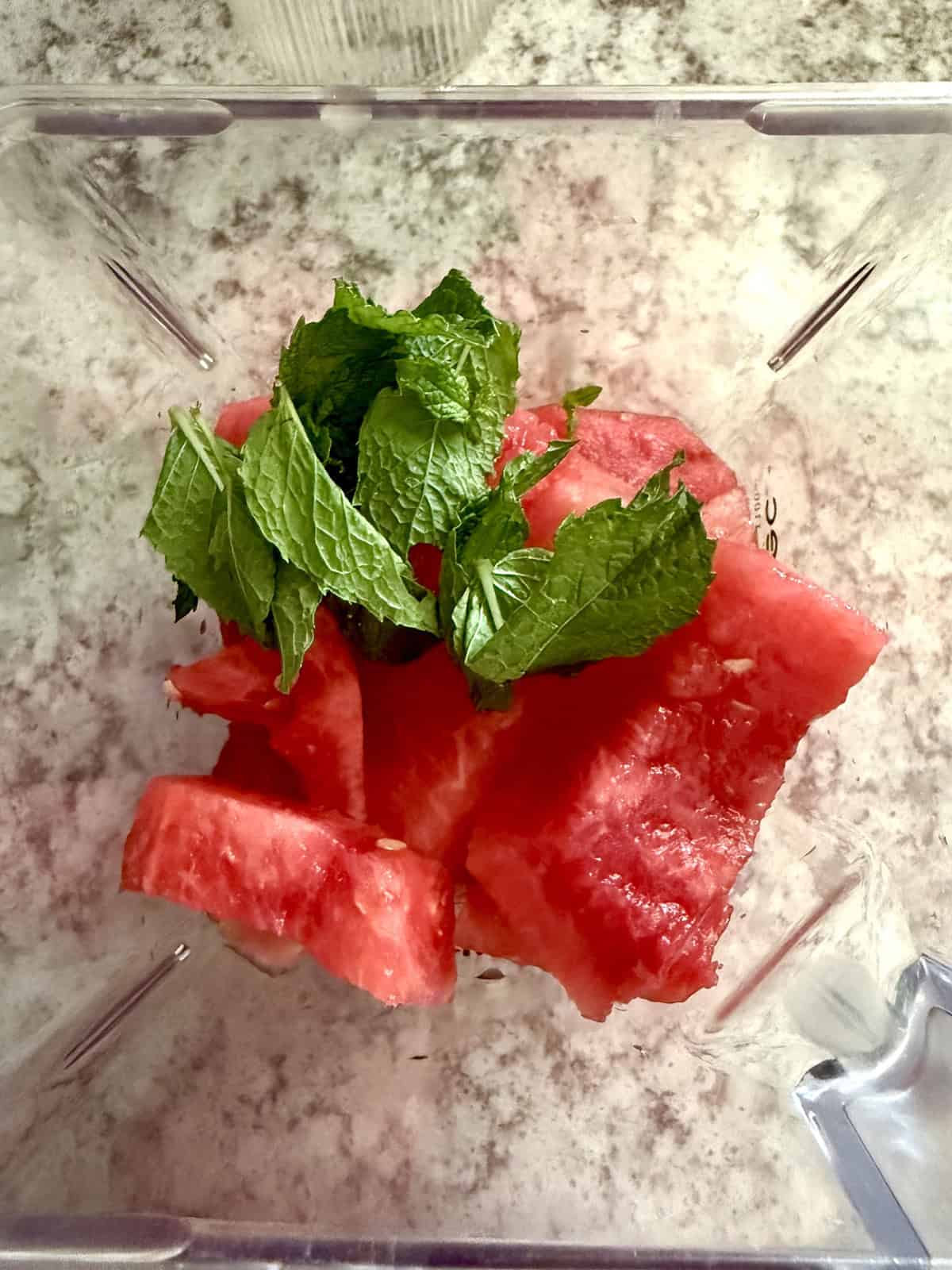 Watermelon pieces and mint leaves in a blender jar.