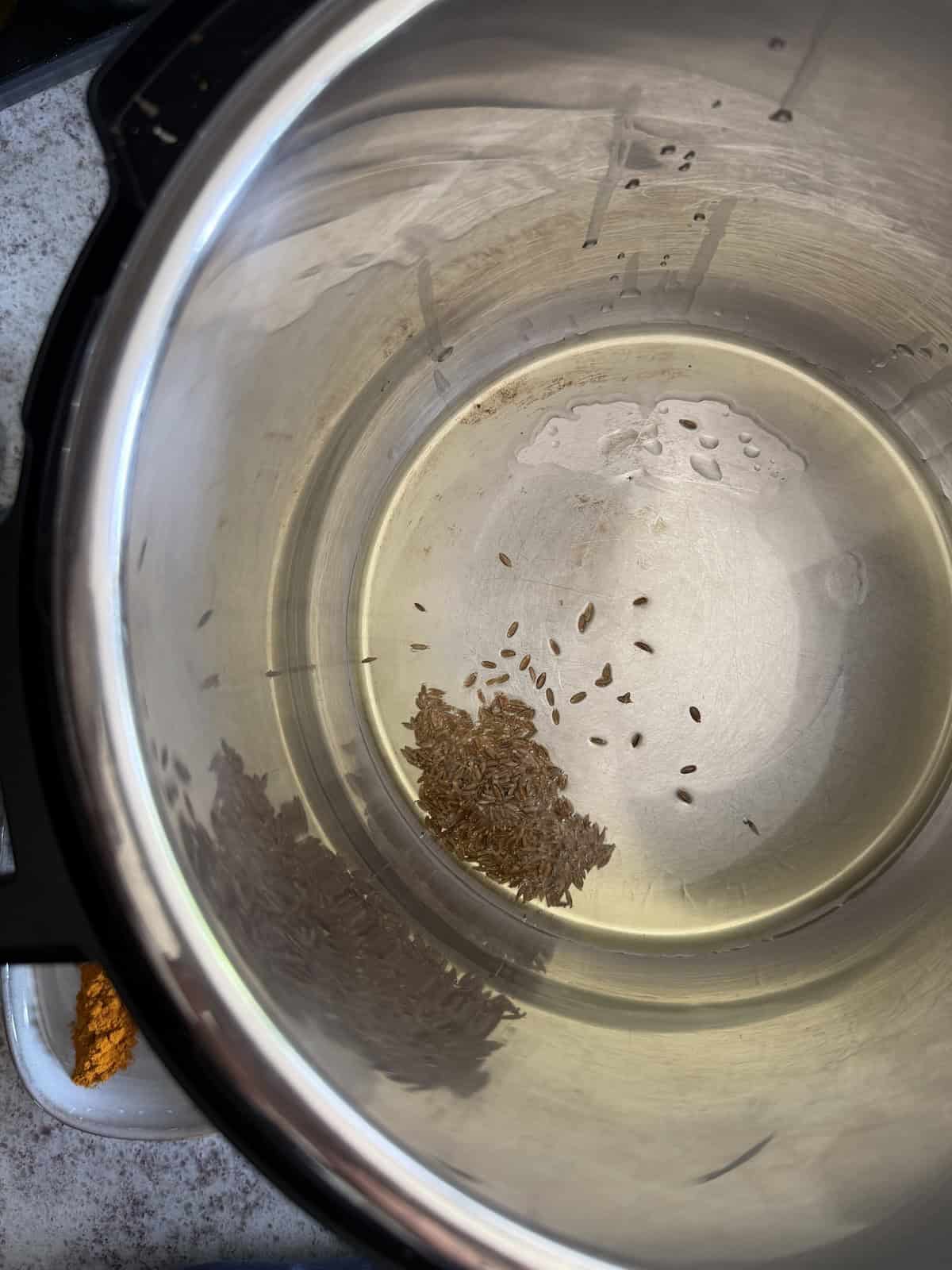 Cumin seeds in hot oil in the stainless steel insert of the Instant Pot.